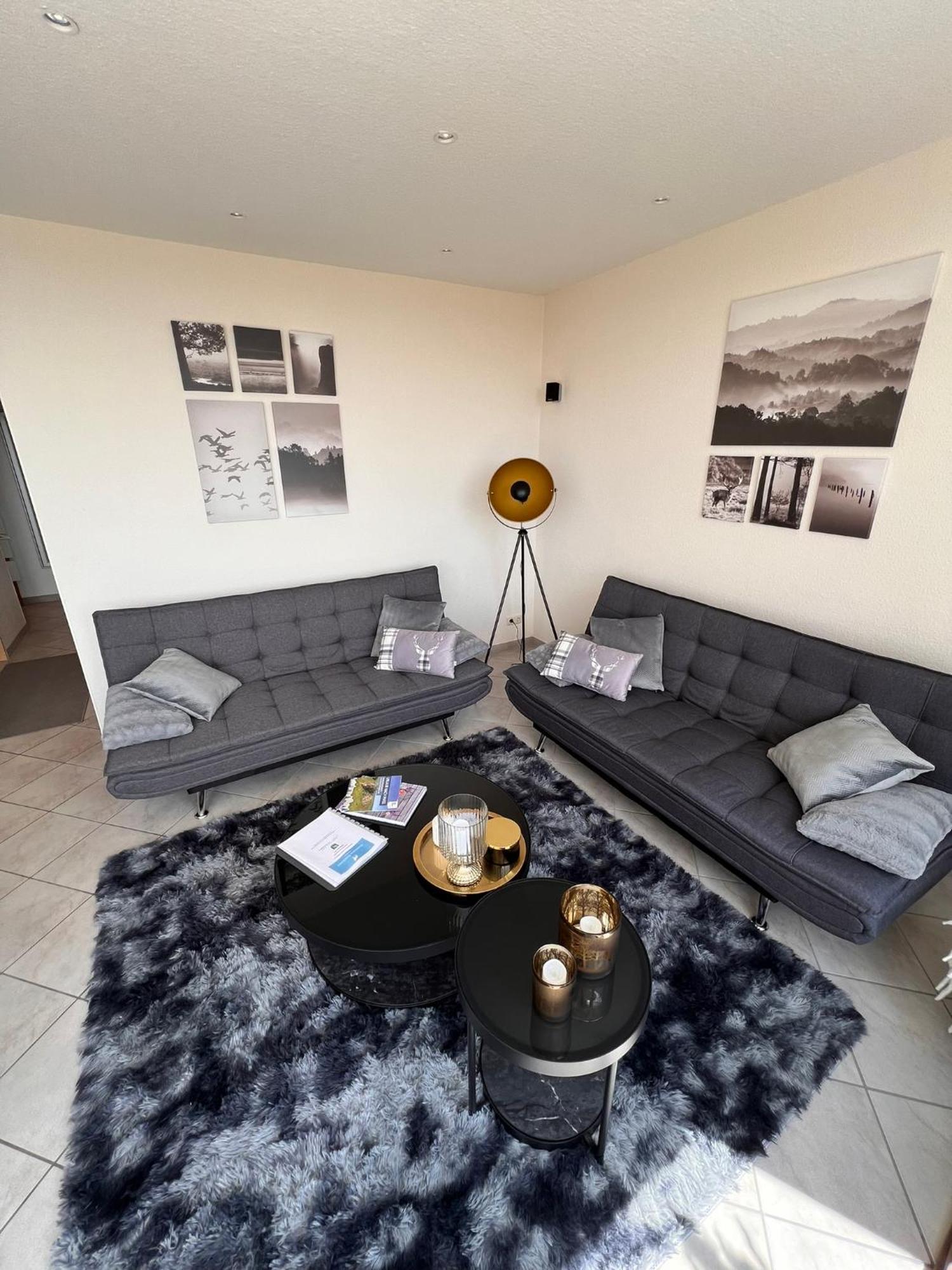 Penthouse - Panorama Suite - Hohegeiss Braunlage Ngoại thất bức ảnh